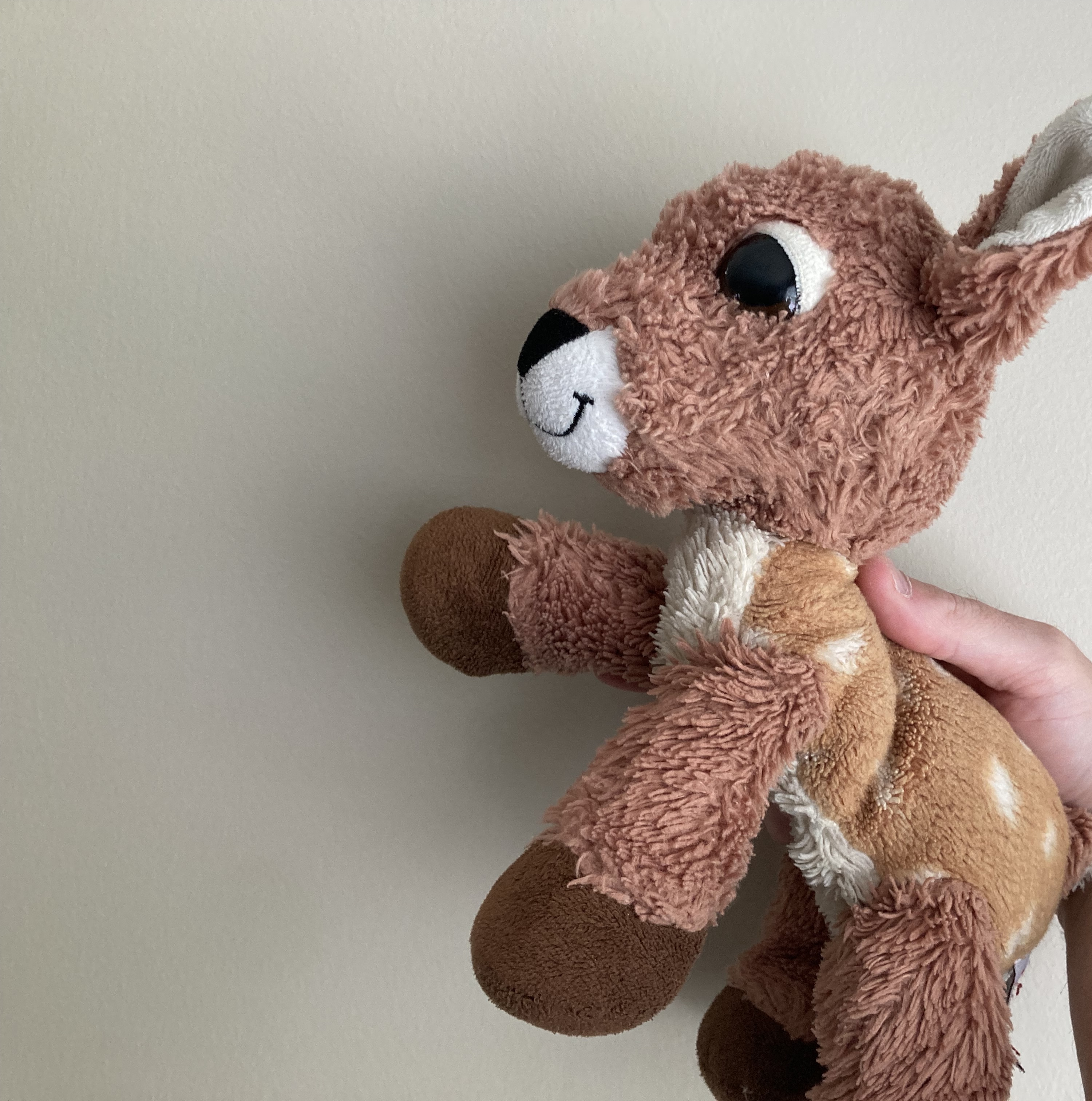 Fanwn explains value creation